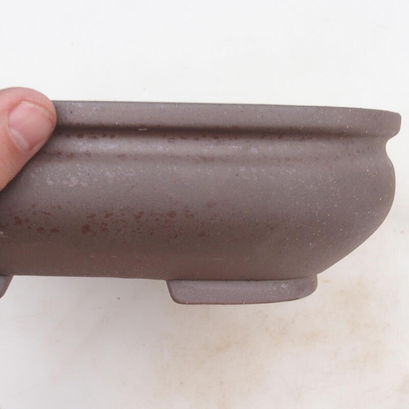 Ciotola bonsai 24 x 24 x 7 cm, colore naturale