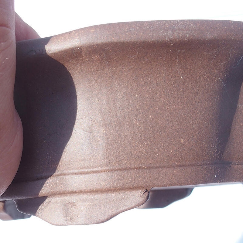 Ciotola bonsai 24 x 24 x 7 cm