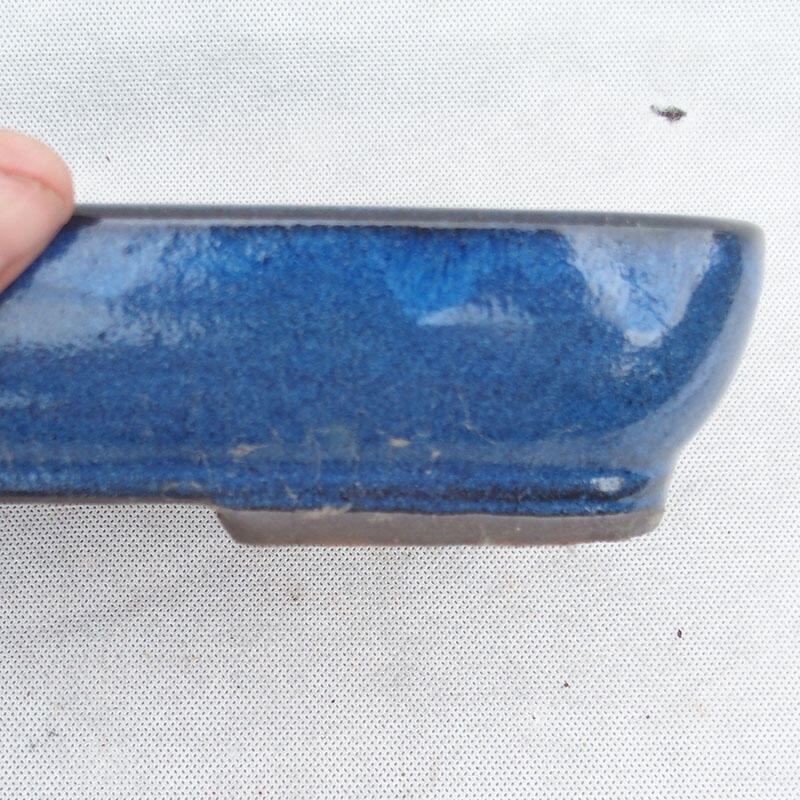 Ciotola bonsai 25 x 17 x 5 cm, colore blu