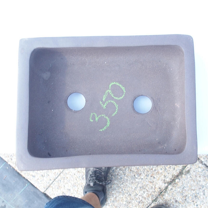 Ciotola bonsai 25 x 19 x 7 cm