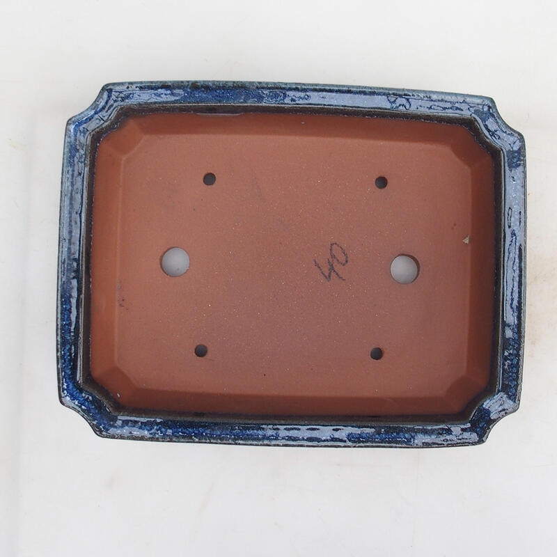 Ciotola per bonsai 25 x 20 x 6 cm, colore blu