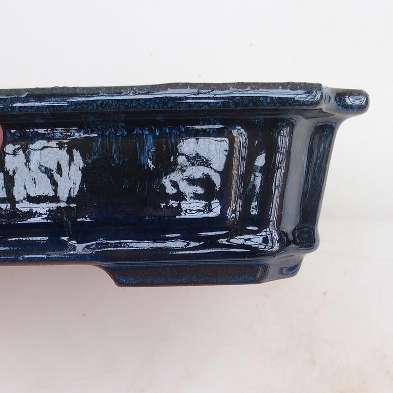 Ciotola per bonsai 25 x 20 x 6 cm, colore blu