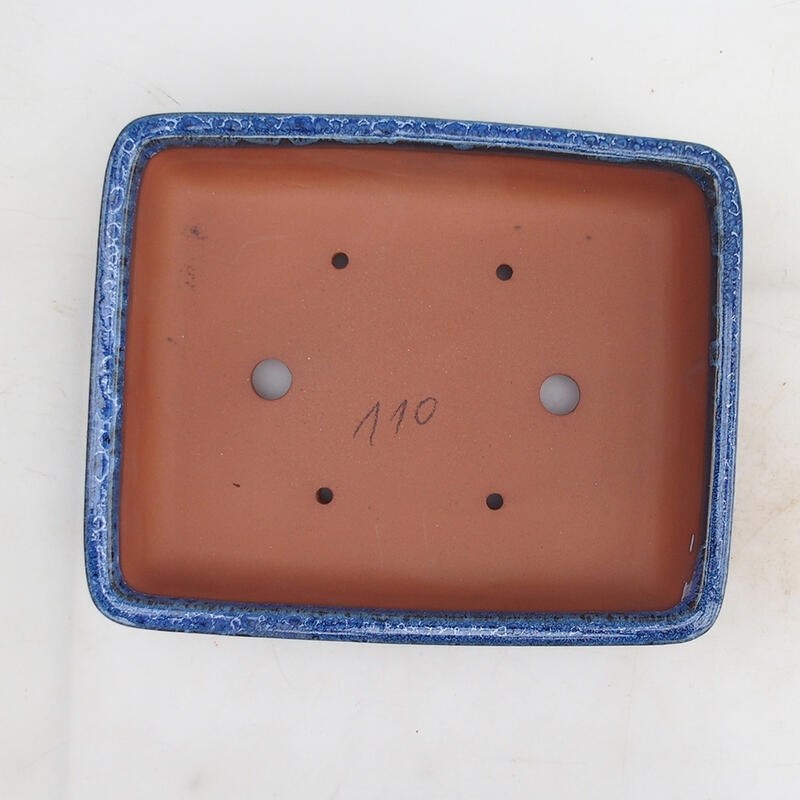 Ciotola bonsai 25 x 21 x 5,5 cm, colore blu