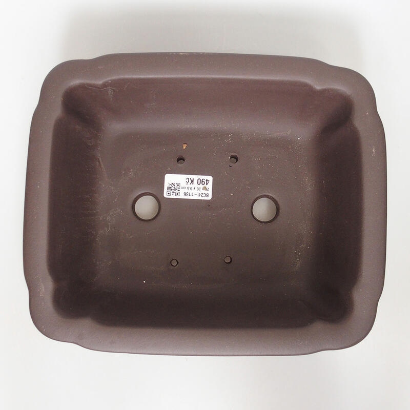 Ciotola per bonsai 25 x 21 x 9,5 cm, marrone