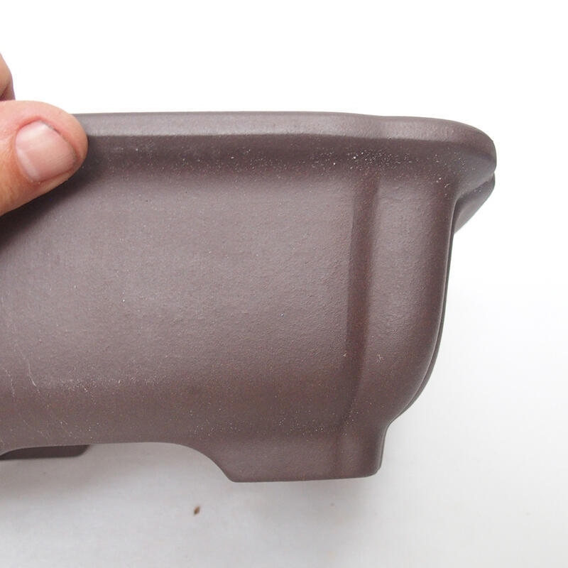 Ciotola per bonsai 25 x 21 x 9,5 cm, marrone