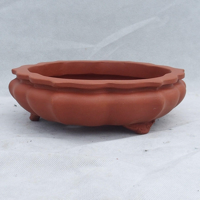 Ciotola bonsai 27 x 27 x 8 cm, colore rustico