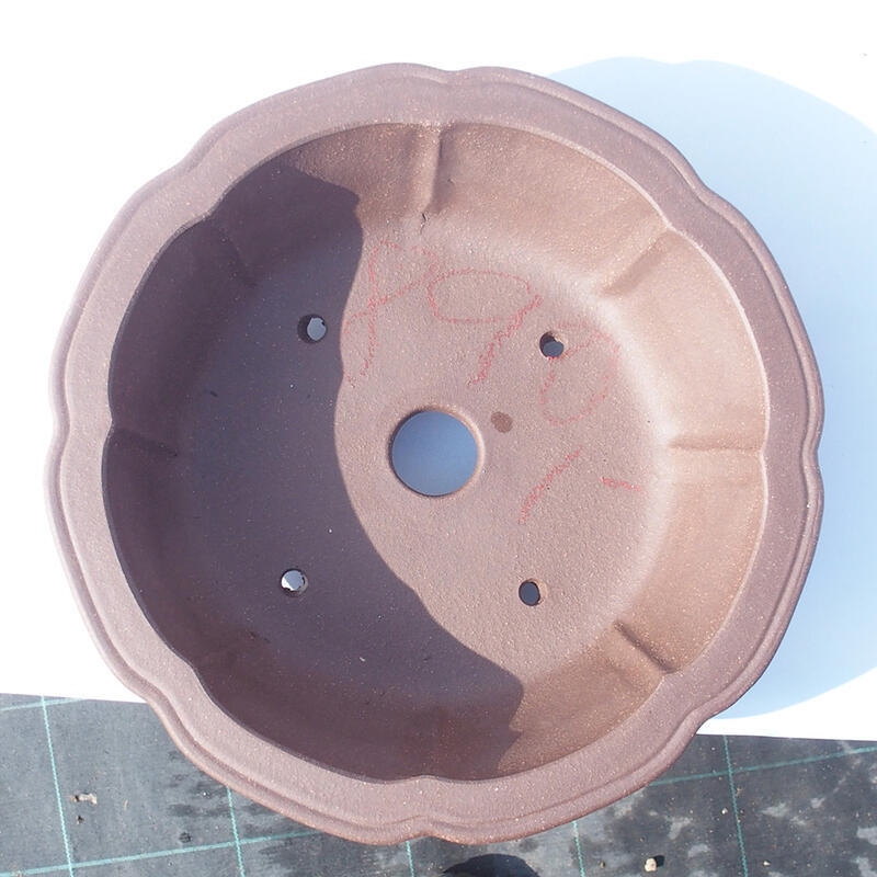 Ciotola bonsai 27 x 27 x 8 cm