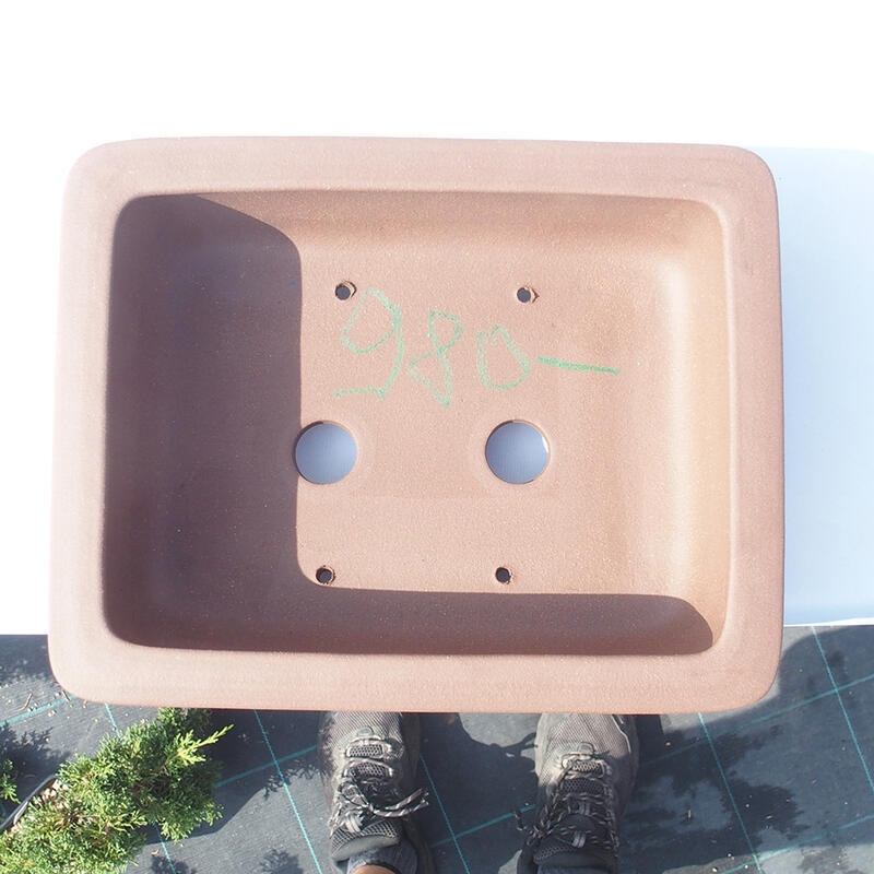 Ciotola bonsai 28 x 22 x 9 cm