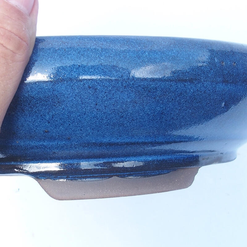 Ciotola bonsai 28 x 28 x 7 cm blu