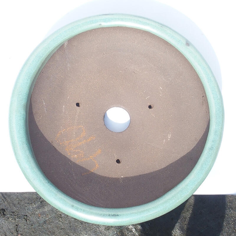 Ciotola bonsai 28 x 28 x 7 cm verde