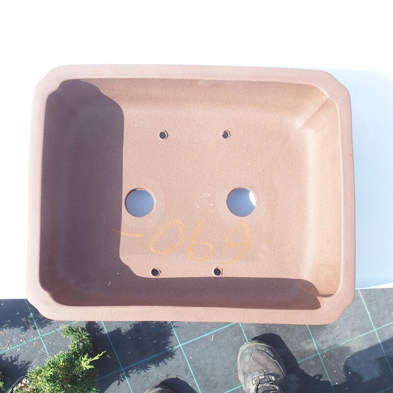 Ciotola bonsai 29 x 23 x 8 cm