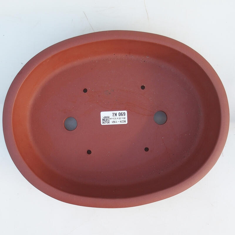 Ciotola per bonsai 30,5 x 24 x 6 cm, colore mattone