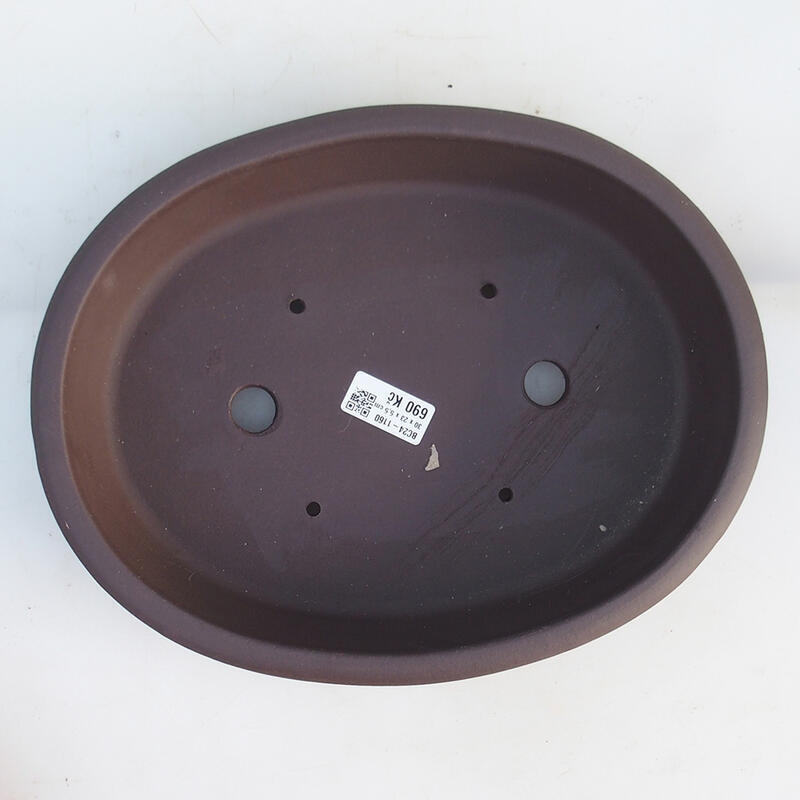 Ciotola per bonsai 30,5 x 24 x 6 cm, marrone