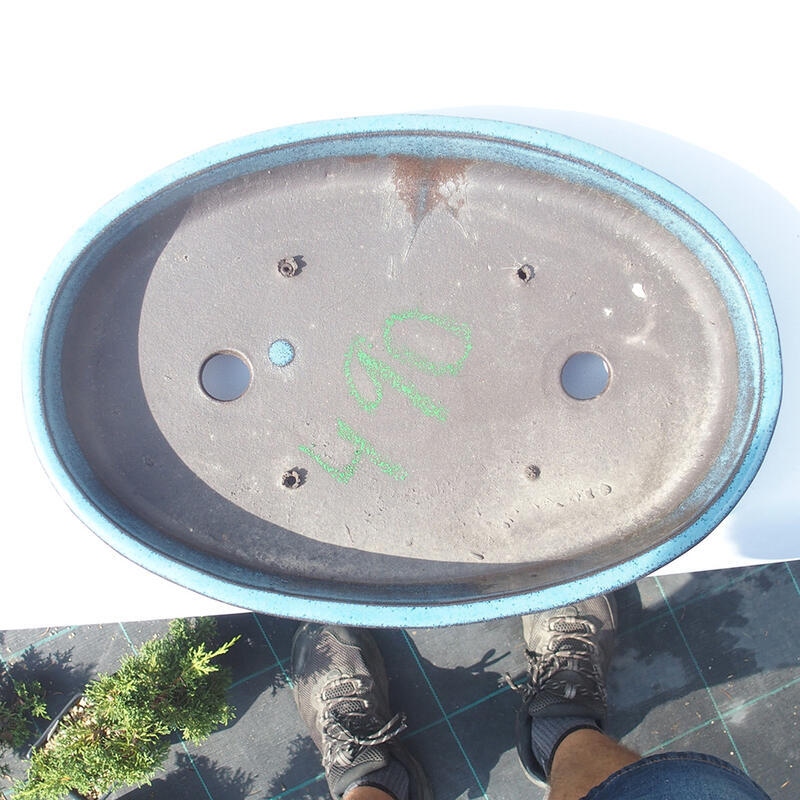 Ciotola bonsai 30 x 20 x 5 cm blu