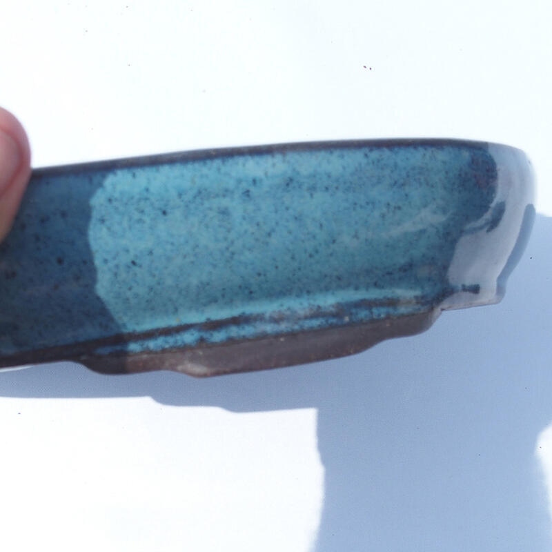 Ciotola bonsai 30 x 20 x 5 cm blu