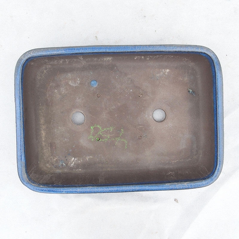 Ciotola bonsai 30 x 21 x 7 cm, colore blu