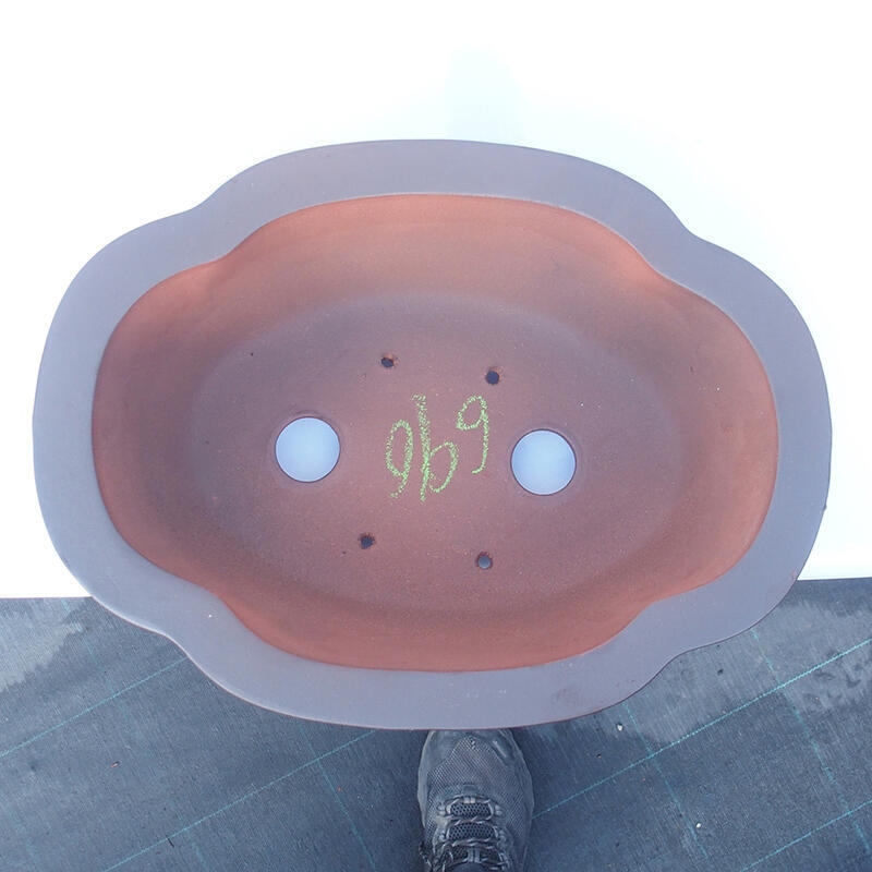 Ciotola bonsai 30 x 22 x 10 cm