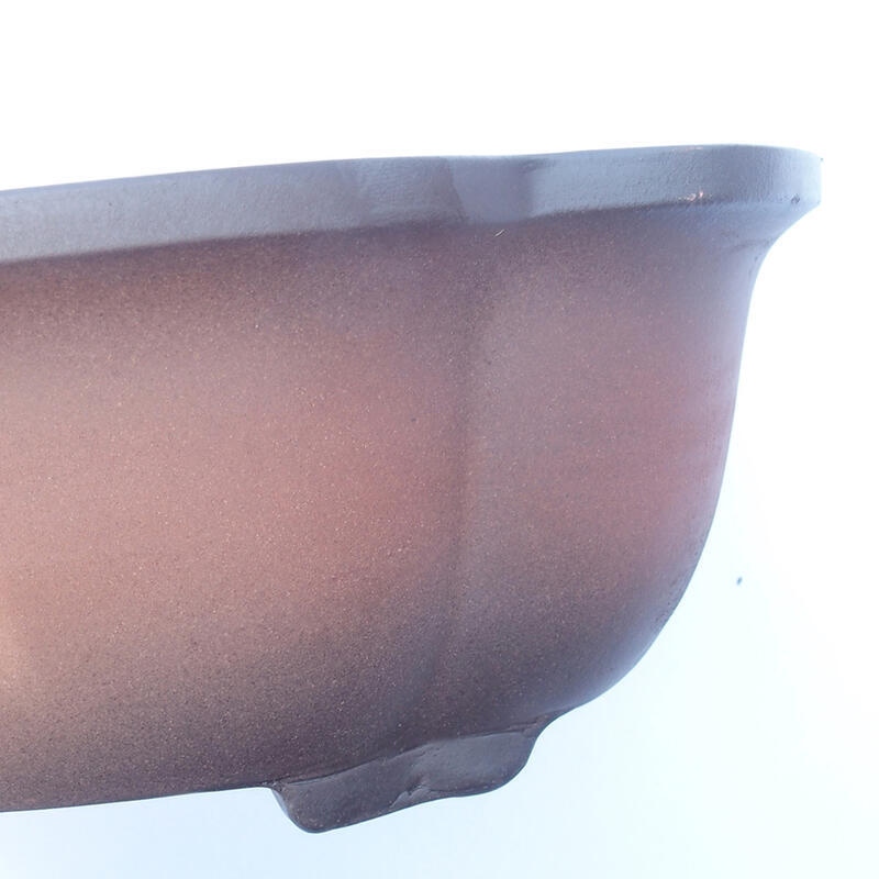 Ciotola bonsai 30 x 22 x 10 cm