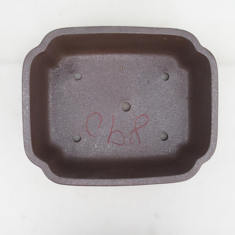 Ciotola per bonsai 30 x 24,5 x 8 cm, colore naturale