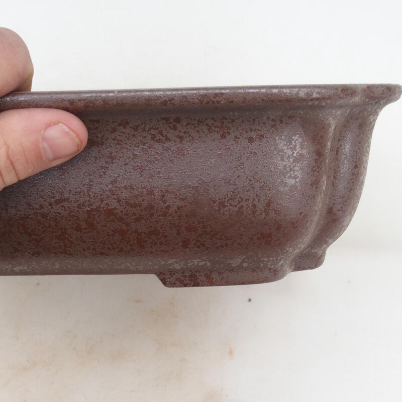 Ciotola per bonsai 30 x 24,5 x 8 cm, colore naturale