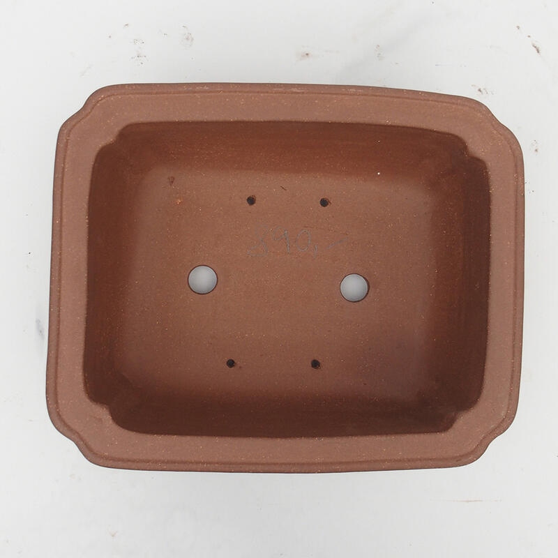 Ciotola per bonsai 30 x 24 x 12 cm - Qualità giapponese