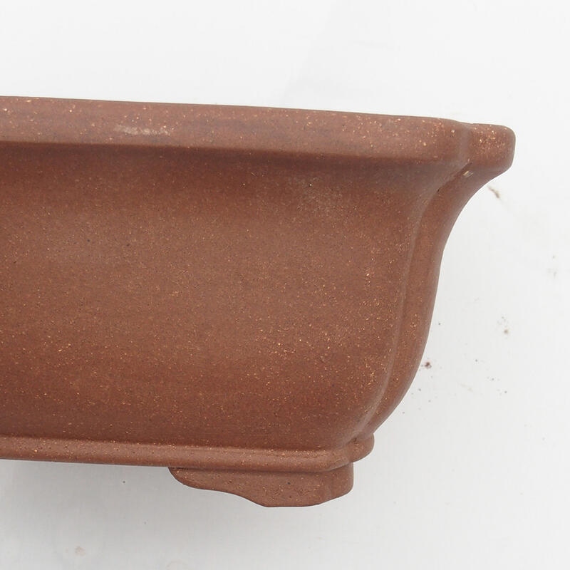 Ciotola per bonsai 30 x 24 x 12 cm - Qualità giapponese