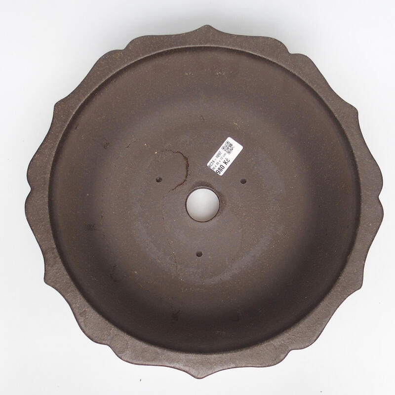 Ciotola per bonsai 30 x 30 x 12 cm, colore marrone ocra