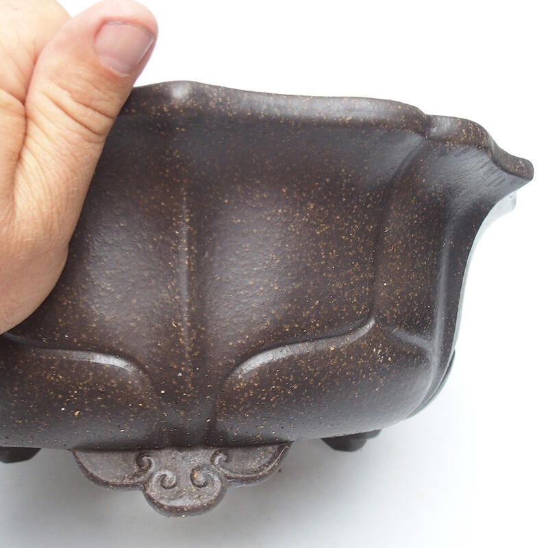 Ciotola per bonsai 30 x 30 x 12 cm, colore marrone ocra