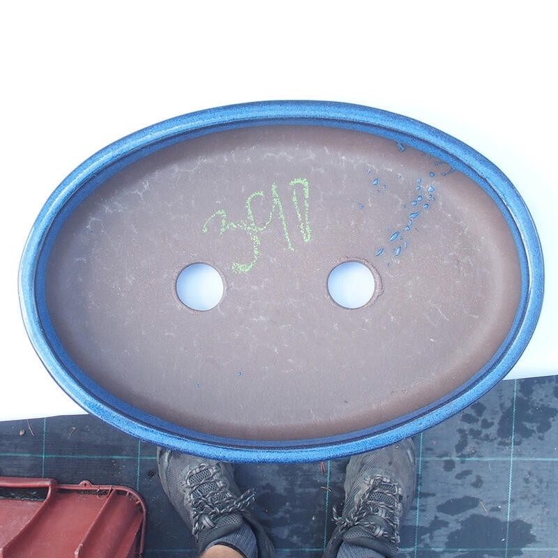 Ciotola bonsai 30 x 20 x 4,5 cm blu