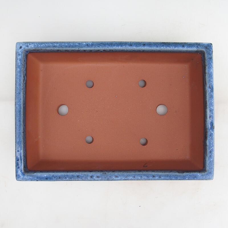 Ciotola bonsai 31 x 22 x 8 cm, colore blu