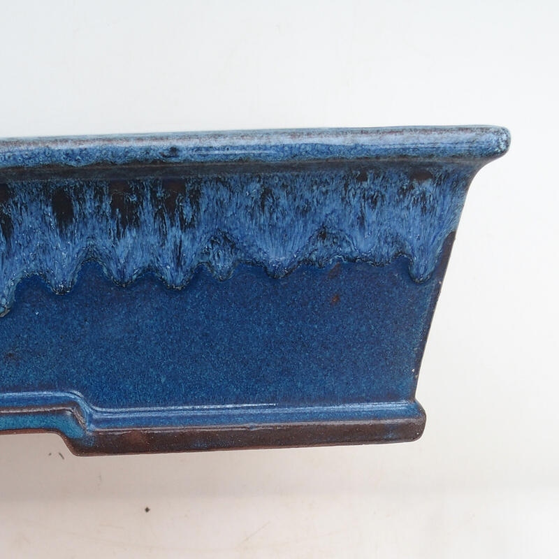 Ciotola bonsai 31 x 22 x 8 cm, colore blu