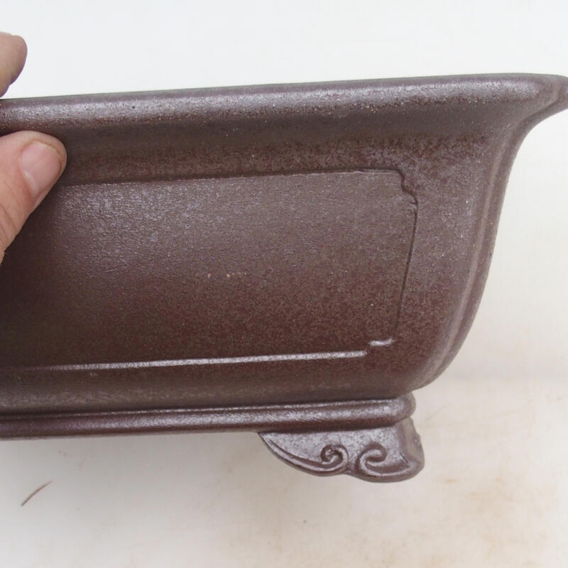 Ciotola bonsai 31 x 23 x 12 cm, colore naturale