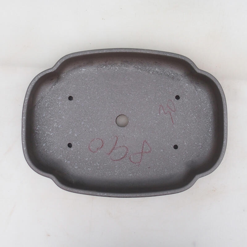 Ciotola bonsai 31 x 23 x 5,5 cm, colore naturale