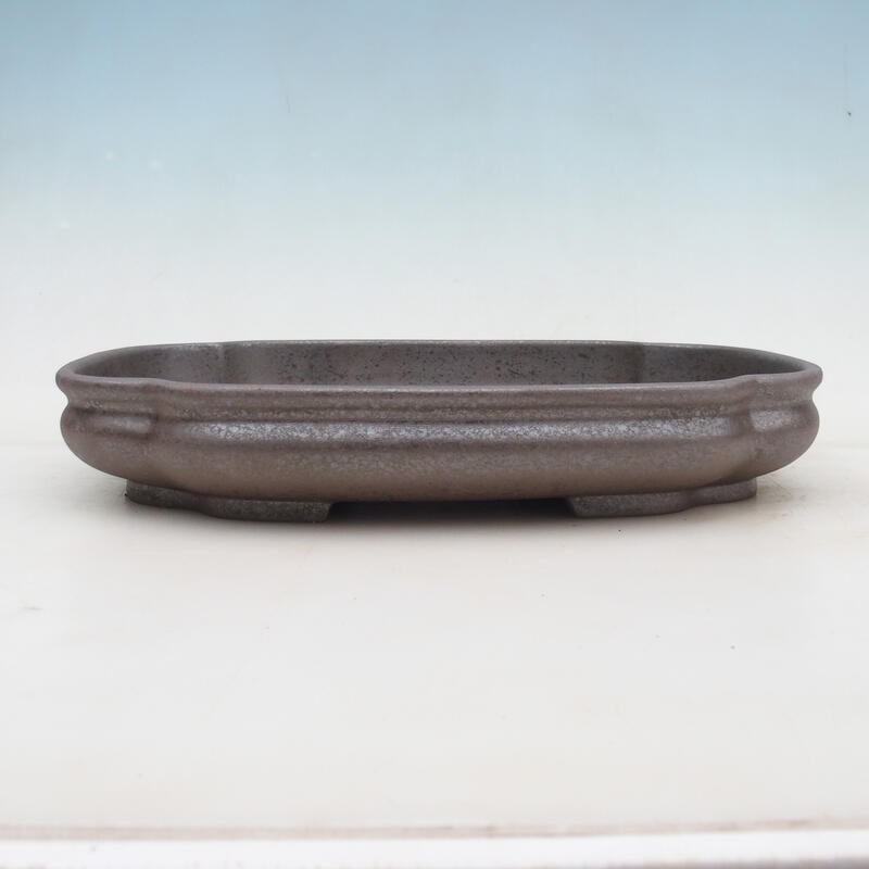 Ciotola bonsai 31 x 23 x 5,5 cm, colore naturale