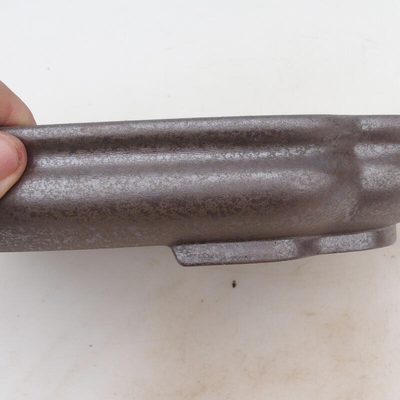 Ciotola bonsai 31 x 23 x 5,5 cm, colore naturale