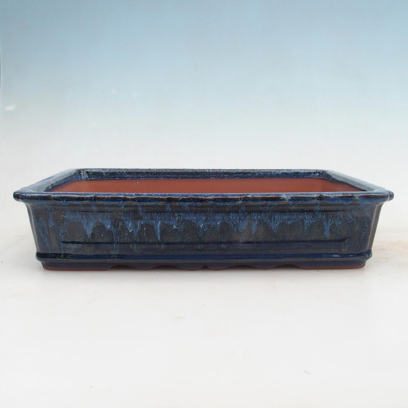 Ciotola bonsai 31 x 23 x 6,5 cm, colore blu