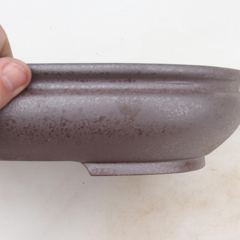 Ciotola bonsai 31 x 23 x 6,5 cm, colore naturale