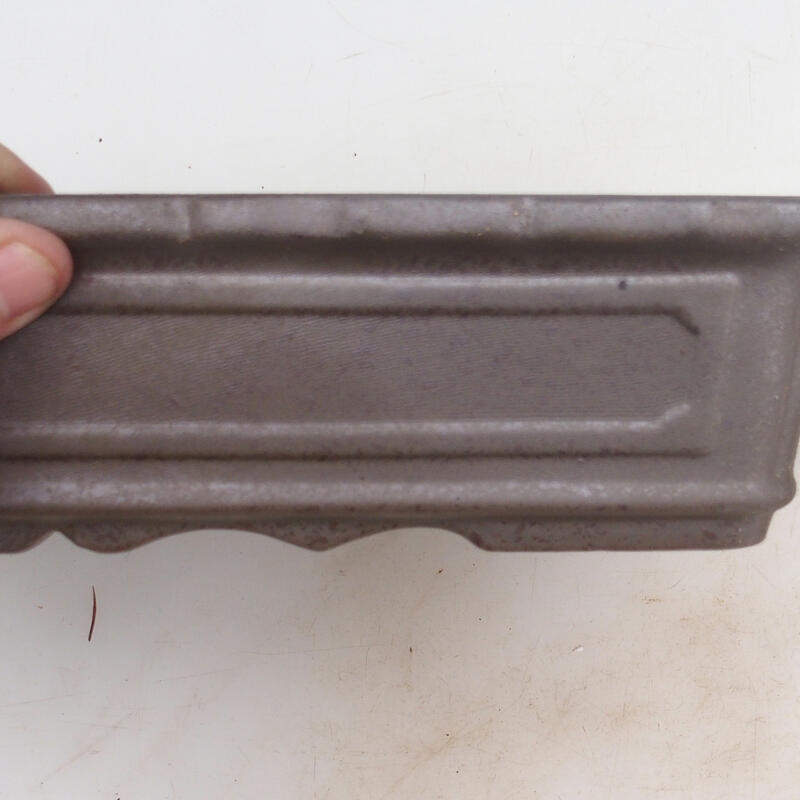 Ciotola bonsai 31 x 23 x 6,5 cm, colore naturale