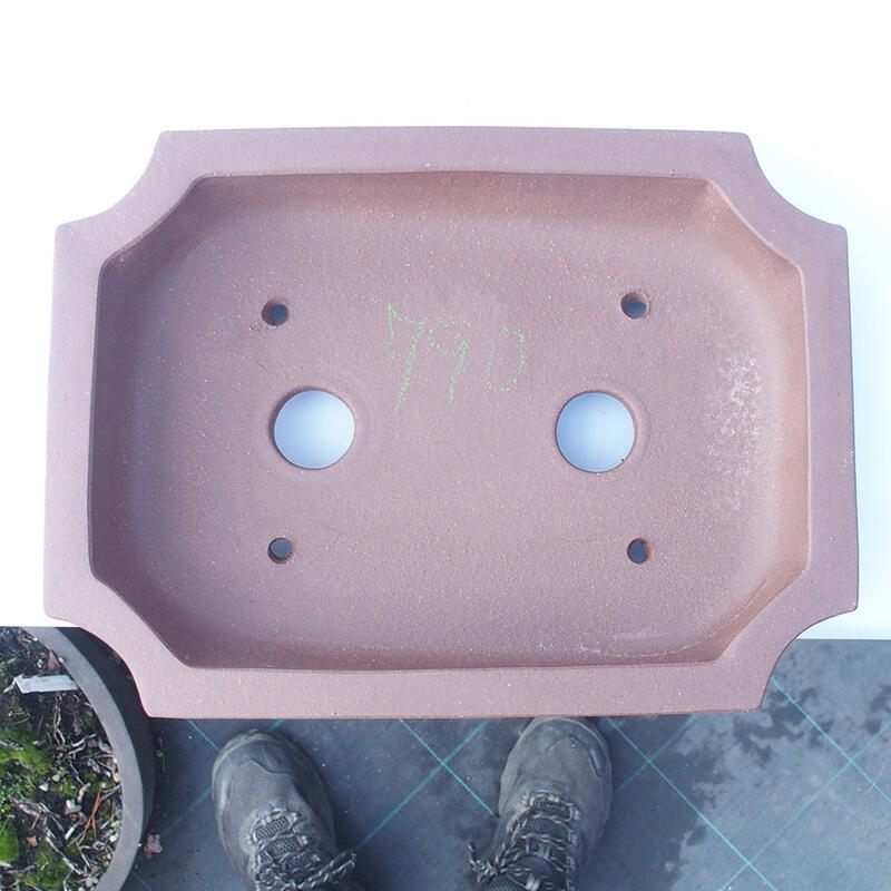 Ciotola bonsai 31 x 23 x 7 cm