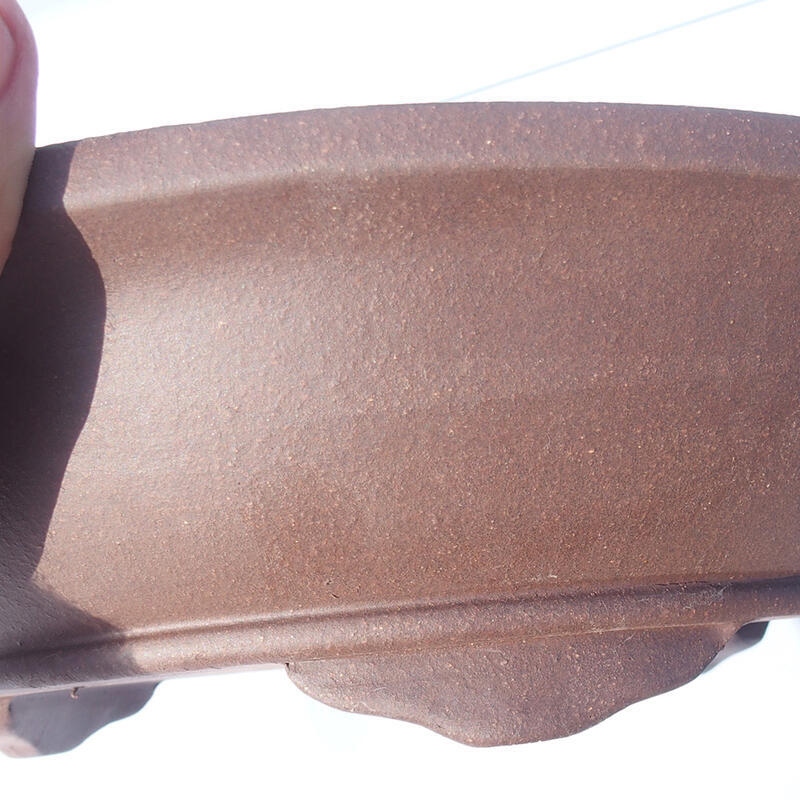 Ciotola bonsai 31 x 31 x 8 cm