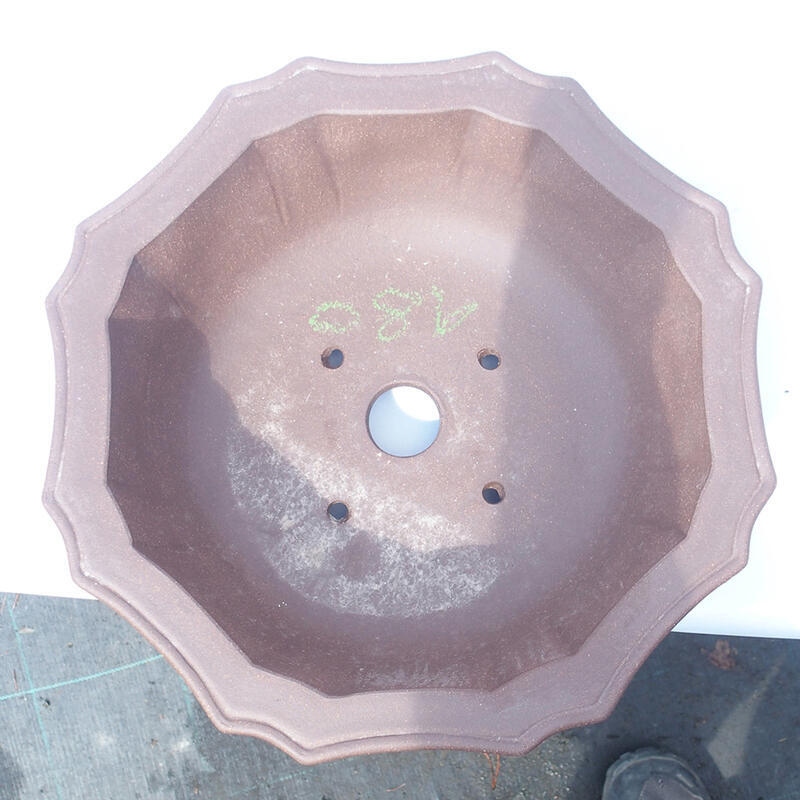 Ciotola bonsai 31 x 31 x 9 cm