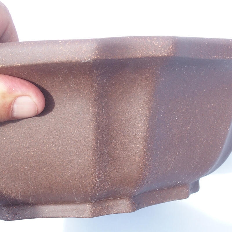 Ciotola bonsai 31 x 31 x 9 cm