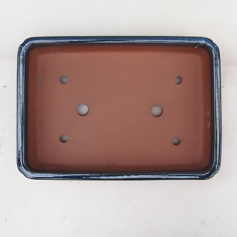 Ciotola bonsai 32 x 23 x 7 cm, colore blu