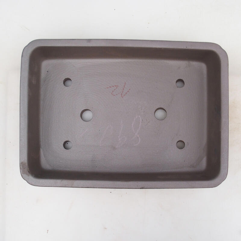 Ciotola bonsai 32 x 23 x 7 cm, colore naturale