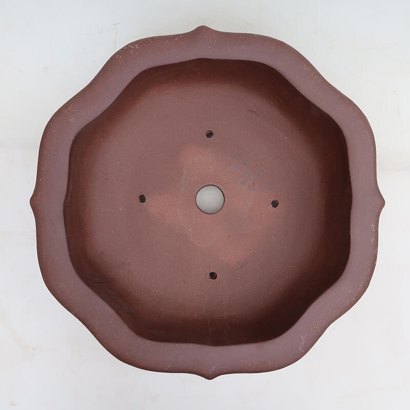 Ciotola per bonsai 32 x 32 x 11 cm, marrone