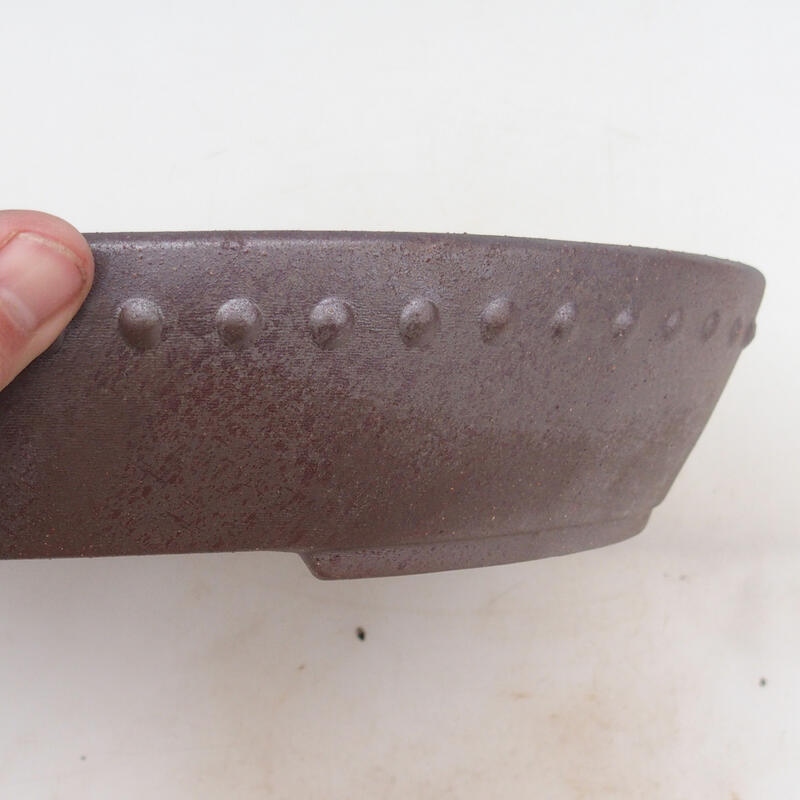 Ciotola bonsai 33 x 26 x 5,5 cm, colore naturale