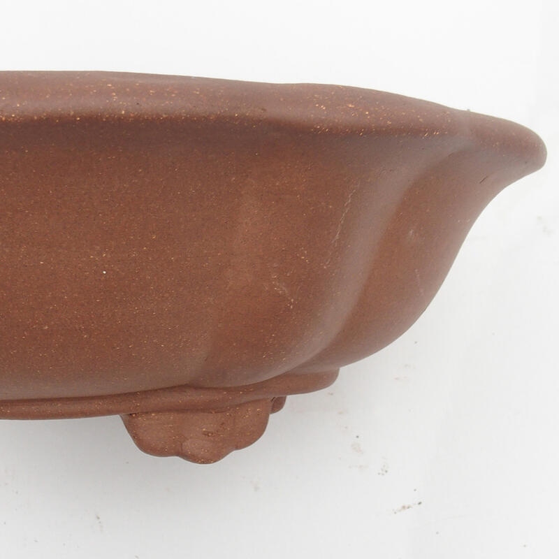 Ciotola bonsai 33 x 29 x 11 cm - Qualità giapponese