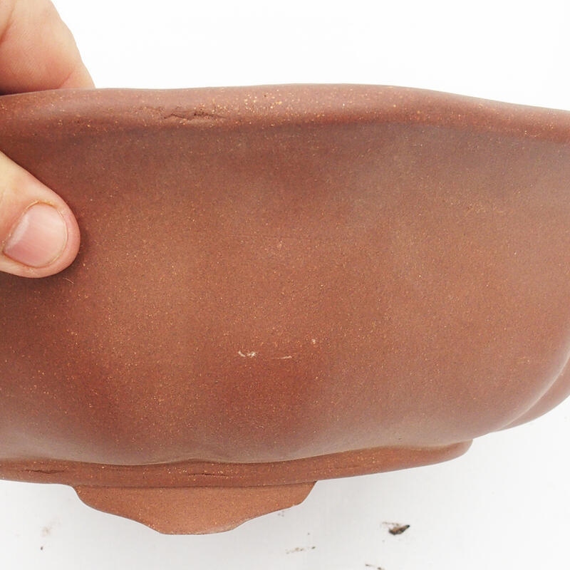 Ciotola bonsai 33 x 33 x 10 cm - Qualità giapponese