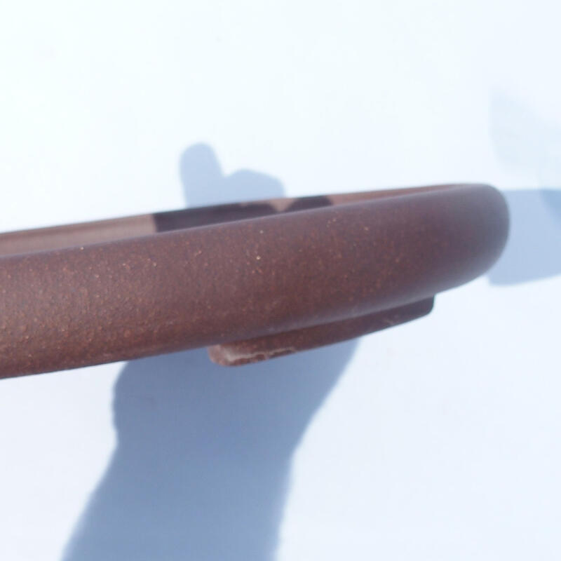 Ciotola bonsai 34 x 23 x 3 cm