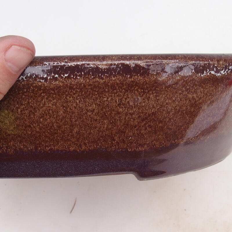 Ciotola bonsai 34 x 27 x 7,5 cm, marrone